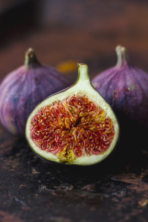 Brown Turkey Fig - FAN Trained Tree