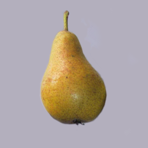 Cheltenham Cross Pear - Full-Standard (PYC)