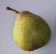 Josephine de Malines Pear - Stepover