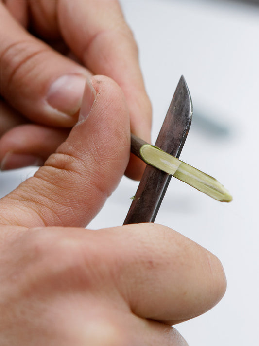 Grafting Course